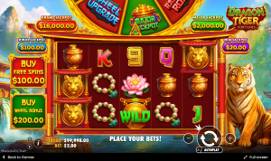 Dragon Tiger - Live dealer table with Dragon and Tiger positions