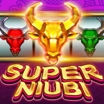 Super Niubi