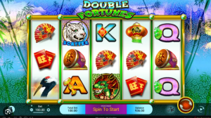 Double Fortune - Double Symbols feature with paired symbols